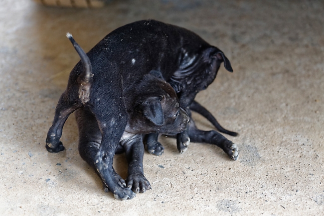 Famille et amis-MAI17-058